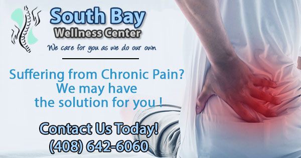 South Bay Wellness Center & Chiropractic logo